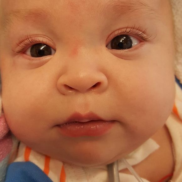 Meet your Posher, Marilyn - Picture 1 of 1